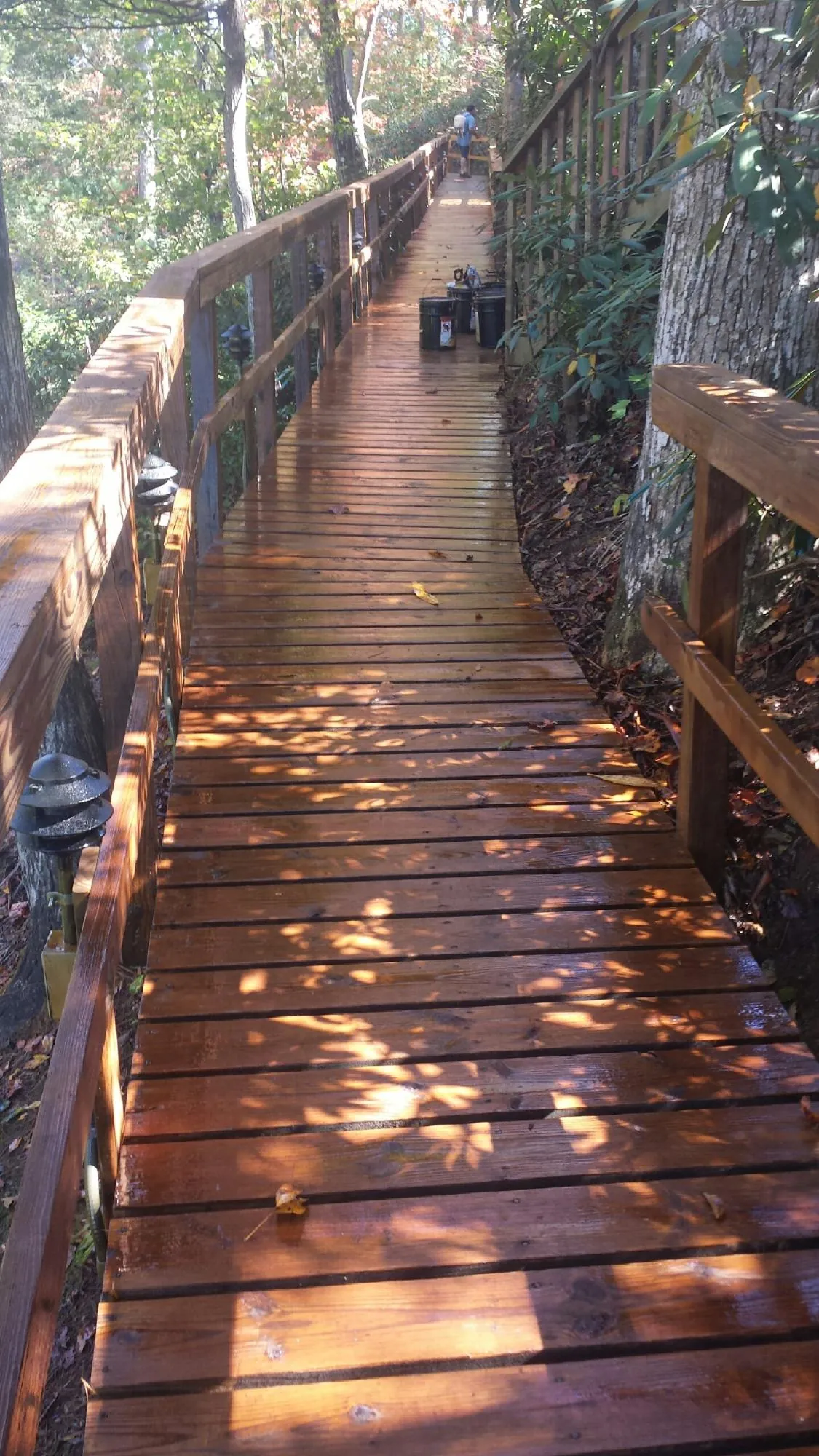 Freshly stained wood walkway winding through the woods in Landisburg